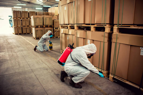 Best Insect Control  in Montebello, CA