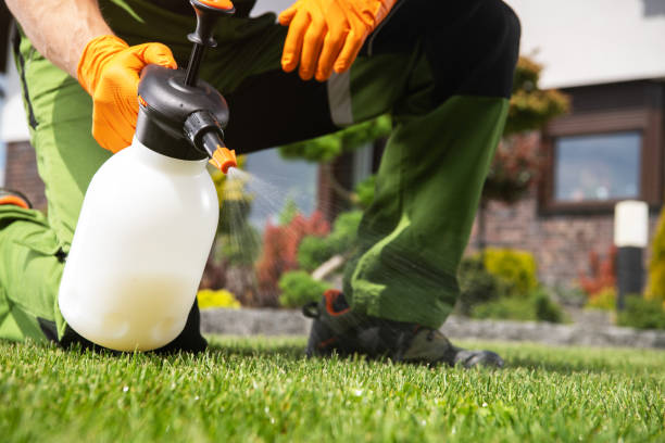 Best Pest Removal Services  in Montebello, CA