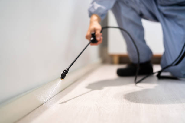 Best Mosquito Control Services  in Montebello, CA