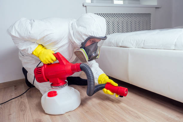Best Flea Control Services  in Montebello, CA