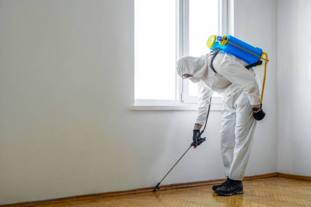 Best Wildlife Control Services  in Montebello, CA