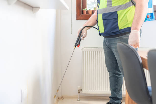 Best Affordable Pest Control Services  in Montebello, CA