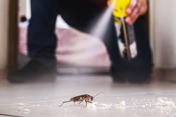 Best Cockroach Control Services  in Montebello, CA